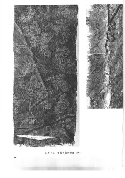 文件:福州南宋黄昇墓 217.jpg