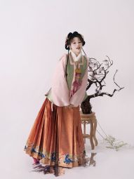 踏云馆汉服秋冬方领宋锦比甲织金马面套装 (乐楹)-淘宝网 主图 003.jpg