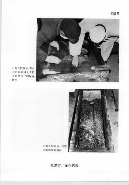 文件:张懋夫妇合葬墓 028.jpg