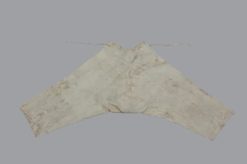 文件:“常熟虞山明代墓葬M77出土文物保护修复”项目通过专家组验收 013.jpg