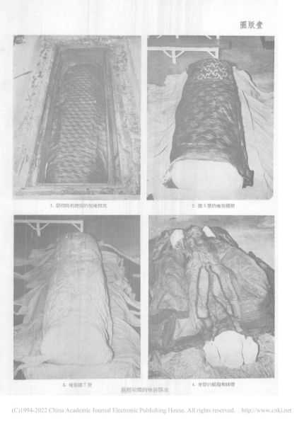文件:戴缙夫妇墓清理报告 011.jpg