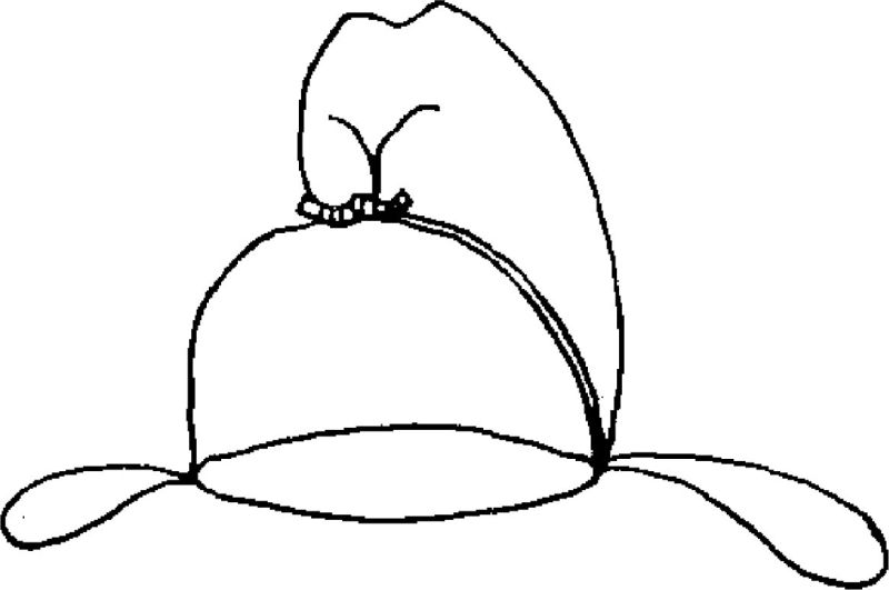 文件:中国古代服饰辞典 48333 267-1.jpg