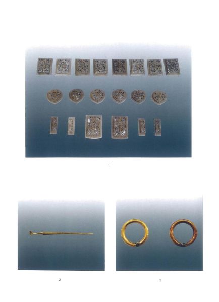 文件:常州市广成路明墓的清理 006.jpg