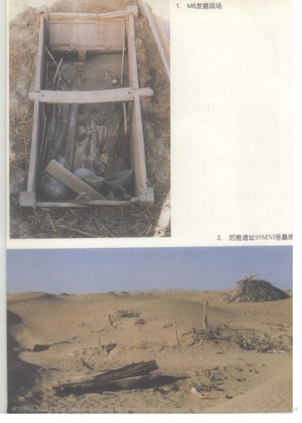 文件:新疆民丰县尼雅遗址95MNI号墓地M8发掘简报 039.jpg