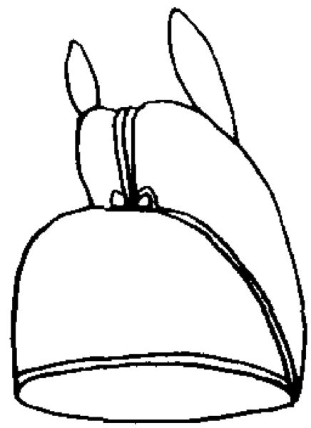 文件:中国古代服饰辞典 48333 267-2.jpg