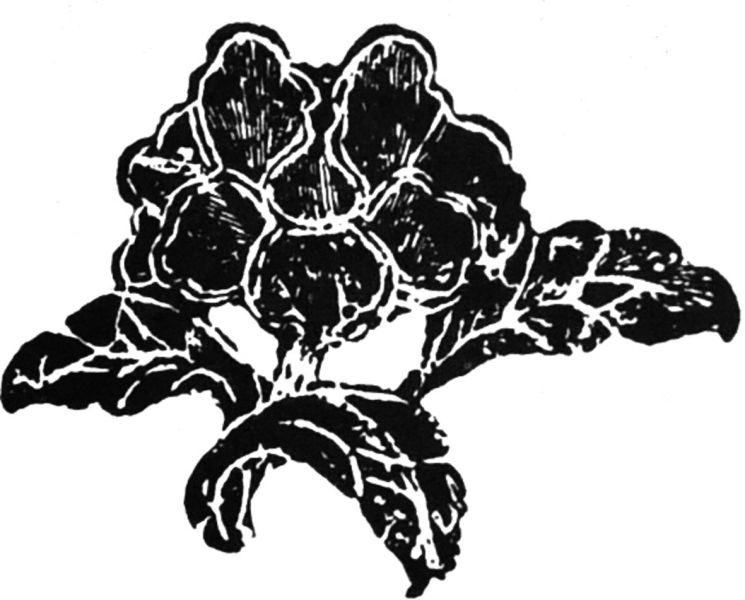 文件:中国古代服饰辞典 48333 286.jpg