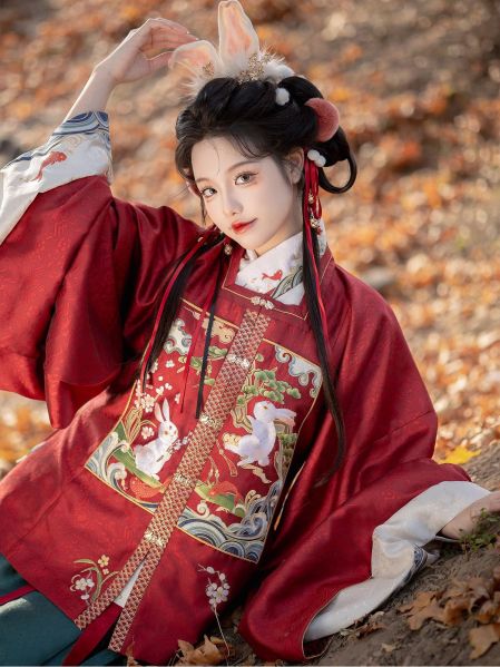 File:燕云织造【卯兔迎春】原创新年女冬比甲补服拜年汉服国风大典秀款-淘宝网 主图 003.jpg