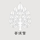菩提雪.jpg