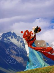 琴挑南北朝【虞美人】隋唐制齐胸大袖襦破裙春款高饱和-淘宝网 主图 001.jpg