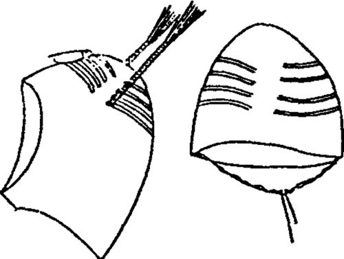 中国古代服饰辞典 48333 277-1.jpg