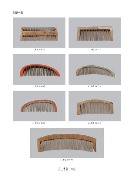 文件:无锡前房桥明代钱氏家族墓地 267.jpg